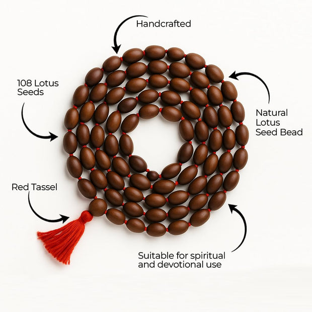 108 Big Lotus Seeds Kamal Gatta Japa Mala for Laxmi Pooja and Wearing