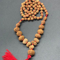 1 - 14 Mukhi Rudraksha Mala (Indonesia Origin)