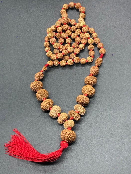 1 - 14 Mukhi Rudraksha Mala (Indonesia Origin)