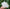 Selenite Shivling