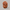 10 mukhi rudraksha