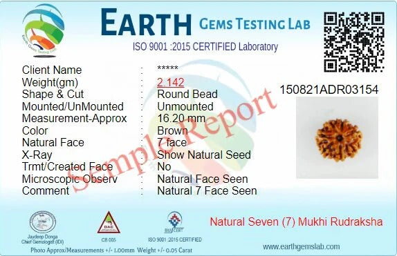 Original 7 Mukhi Rudraksha – Certified & Energized Bead for Wealth & Healing