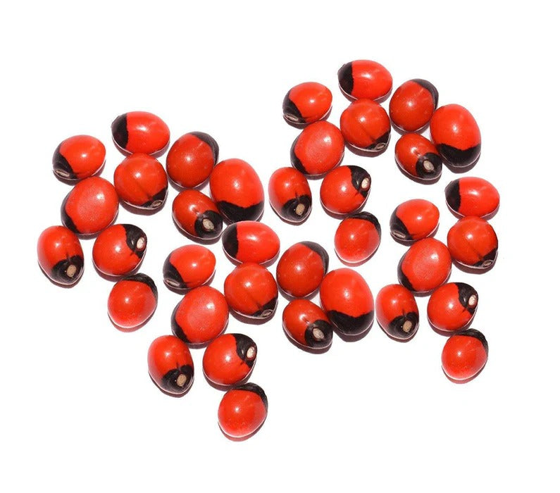 Red Gunja Chirmi Beads, Kamal Gatte and White Kauri/Kaudi and Gomti Chakra, Small - Set of 11 Pieces