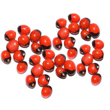 Red Gunja Chirmi Beads, Kamal Gatte and White Kauri/Kaudi and Gomti Chakra, Small - Set of 11 Pieces
