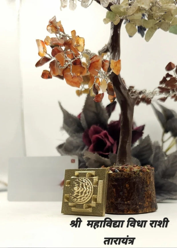 Panchdhatu Shree Vidhya Rashi Tara Yantra