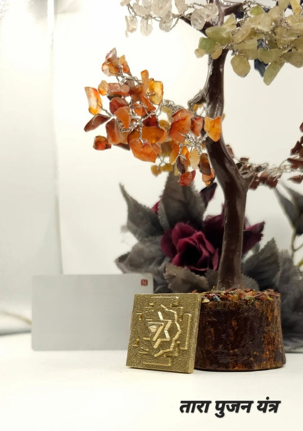 Panchdhatu Tara Poojan Yantra