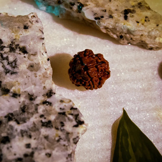 4 MUKHI RUDRAKSHA
