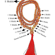 1 - 14 Mukhi Rudraksha Mala (Indonesia Origin)