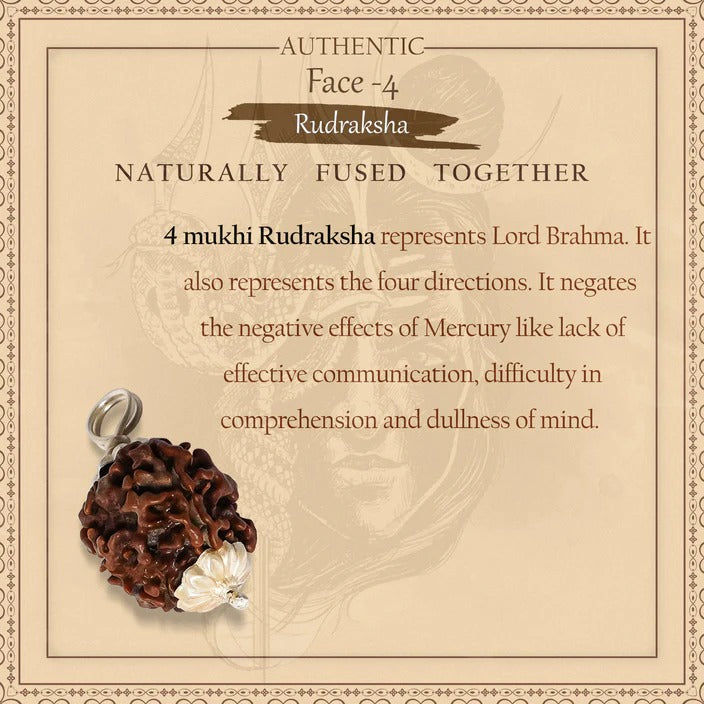 4 MUKHI RUDRAKSHA