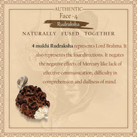 4 MUKHI RUDRAKSHA