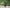 Natural Green Jade Zibu Symbol Stone – Handcrafted Healing Crystal for Abundance, Love & Spiritual Energy