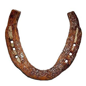 Black Horse Shoe/Kale Ghode ki Naal | for Good Luck and Nazar Suraksha for House/Car/Bike