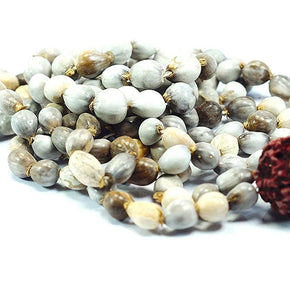 Vaijanti Mala 108+1 Vaijanthi Bead Rosarie Vaijayanti/Baijanti for Vashikaran, Attraction and Devi Siddhi