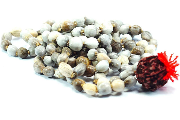 Vaijanti Mala 108+1 Vaijanthi Bead Rosarie Vaijayanti/Baijanti for Vashikaran, Attraction and Devi Siddhi
