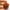 Original 9 Mukhi Rudraksha – Certified & Energized