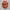 13 mukhi rudraksha with certificate