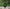 Natural Green Jade Zibu Symbol Stone – Handcrafted Healing Crystal for Abundance, Love & Spiritual Energy