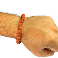 Natural Rudraksha Bracelet 8 mm Bead for Unisex (Colour : Brown)