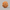 12 mukhi rudraksha with certificate