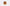 Original 7 Mukhi Rudraksha – Certified & Energized Bead for Wealth & Healing