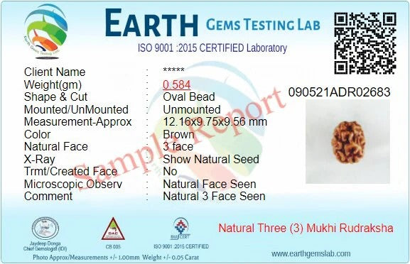 3 Mukhi Lab Certified Rudraksha (Brown)