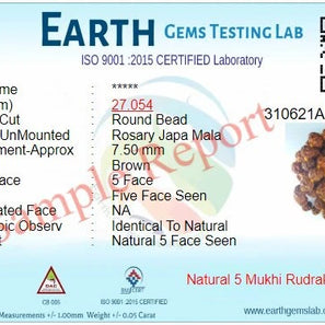 Men's and Women's 5 Mukhi/Faced 108+1 Beads Rudraksha Jaap Mala, Natural and Certified for Positive Effect (Brown, 6 mm)