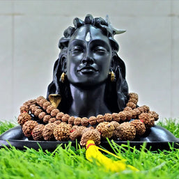 1 - 14 Mukhi Rudraksha Mala (Indonesia Origin)