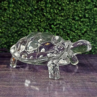 kachua Plate Glass Crystal Turtle Tortoise with Plate for Feng Shui and Vastu Best Gift for Good Luck Original (Glass Crystal)